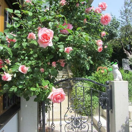 Anna'S Home - Ferienwohnungen Ratsch an der Weinstrasse Exterior photo